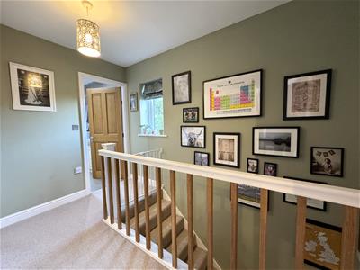 Picture 13
